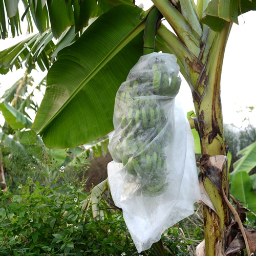 Anti-UV Banana Protection Bag