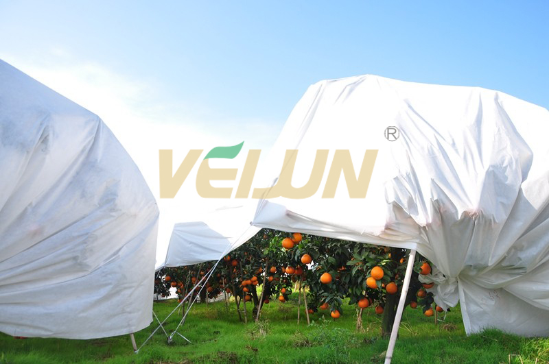 What’s VEIJUN Frost Protection Fleece?